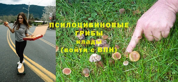 прущая мука Алексеевка