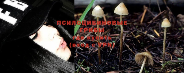 мескалин Алексин