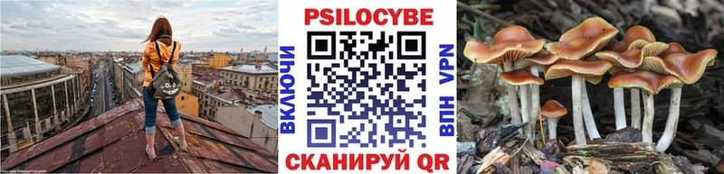 Псилоцибиновые грибы прущие грибы  Пролетарск 